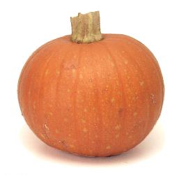 A sugar pumpkin - perfect for pies! image from Cook's Thesaurus